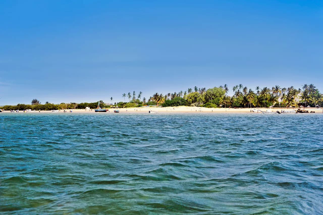 Una vista serena della spiaggia dell'isola portoghese con palme lungo la riva | MSC Crociere