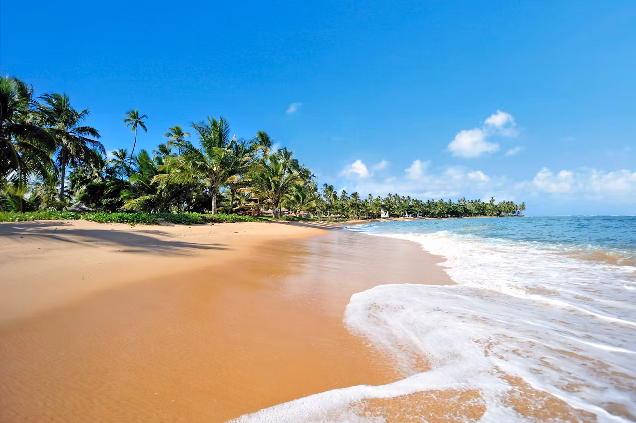 Una escena de playa serena en Praia do Forte en Brasil, con arena dorada y suaves olas | MSC Cruceros