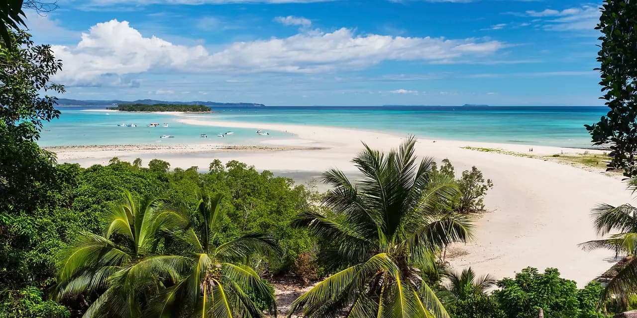 Hermosa playa en Madagascar con palmeras y mar azul | MSC Cruceros