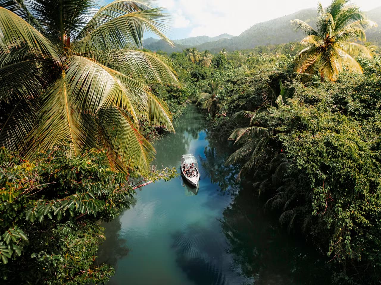 A couple enjoys a scenic boat ride through the lush Indian River in Dominica's vibrant landscape | MSC Cruises