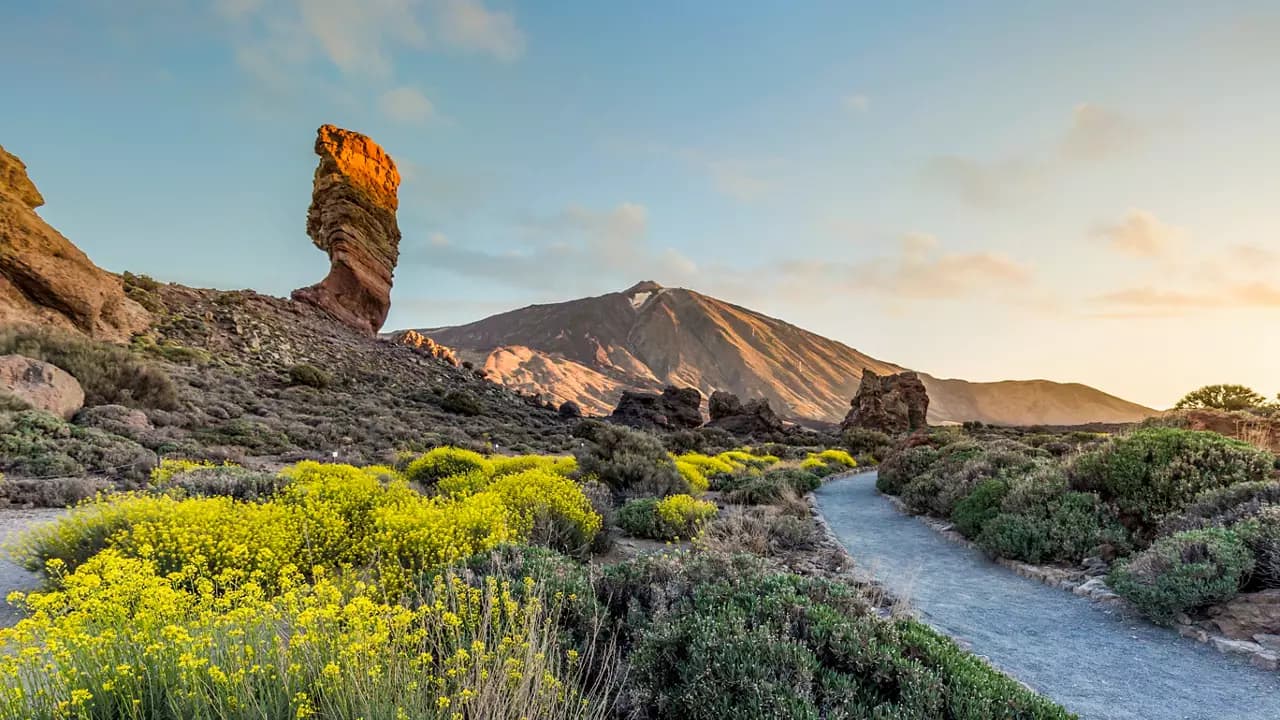Impresionante paisaje de Roques de Garcia con vibrantes flores silvestres en el Parque Nacional del Teide, Tenerife, España | MSC Cruceros