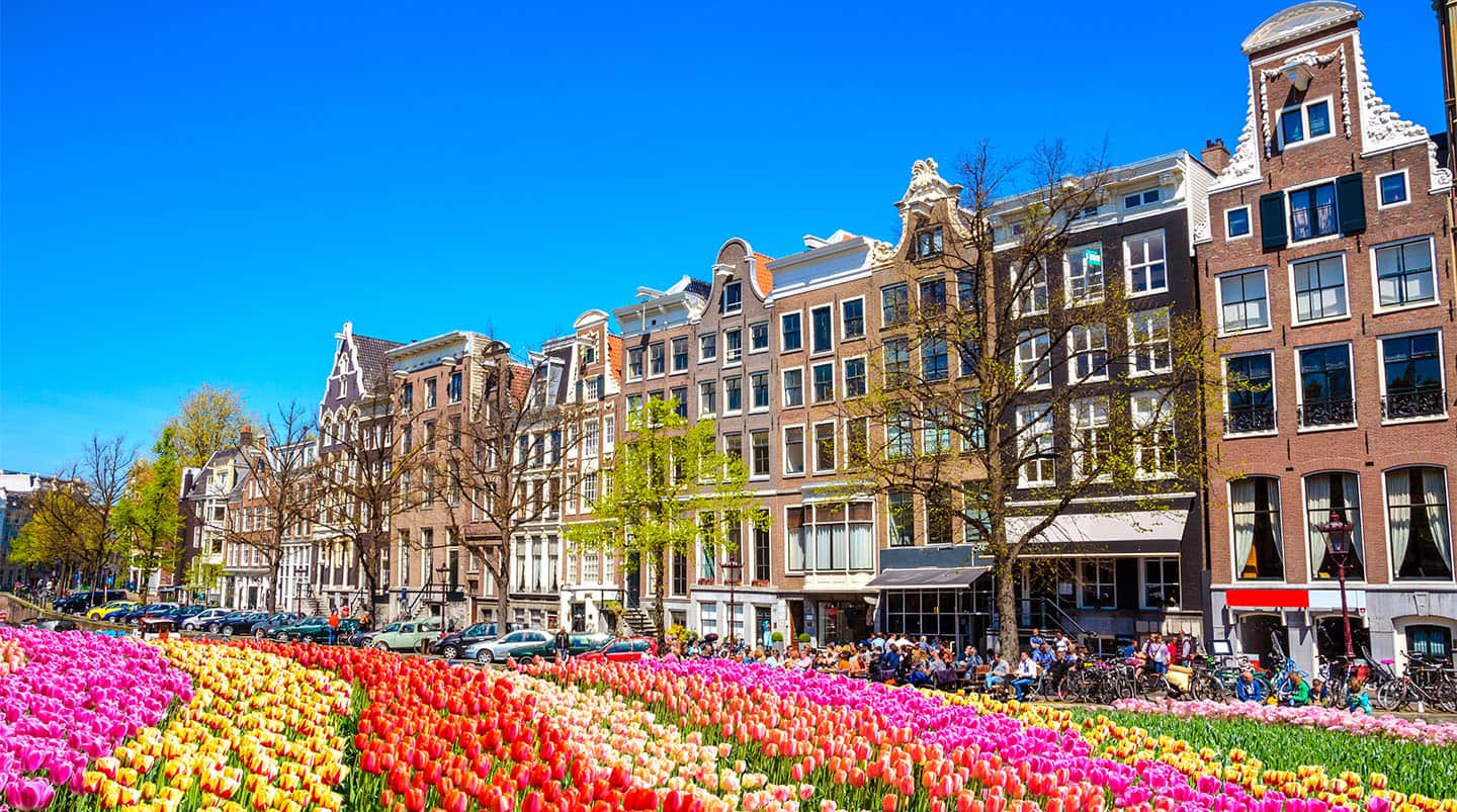 Cruise to Europe:  France, Spain, Germany & Belgium