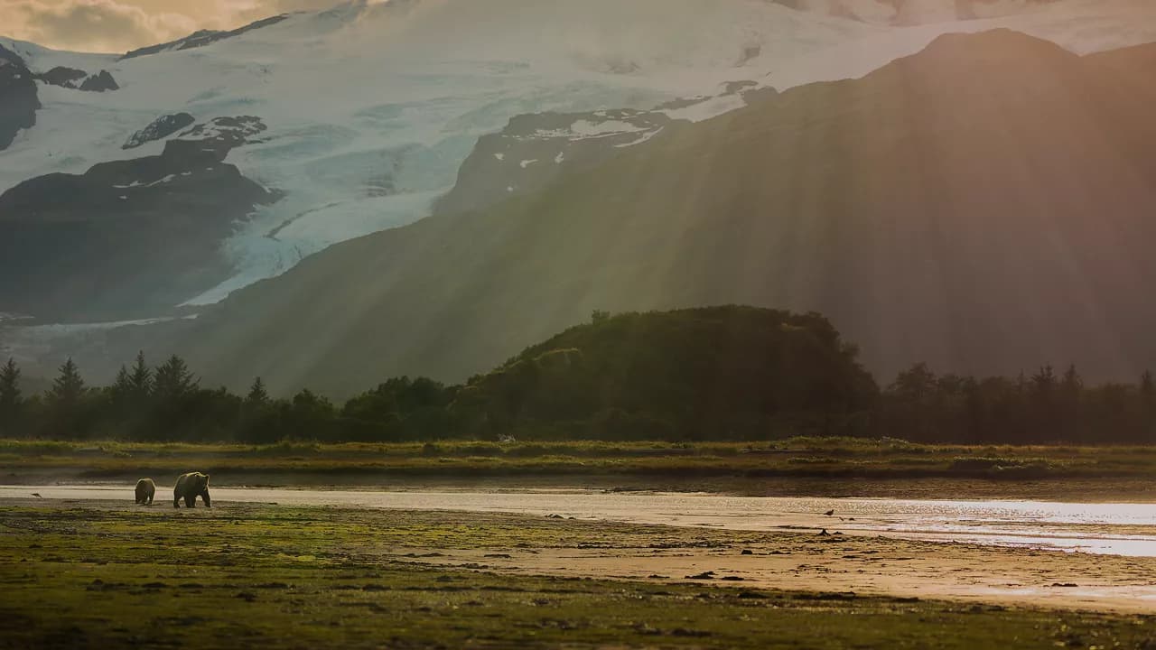 Alaska Mountain Medley Cruisetour (Post Tour)