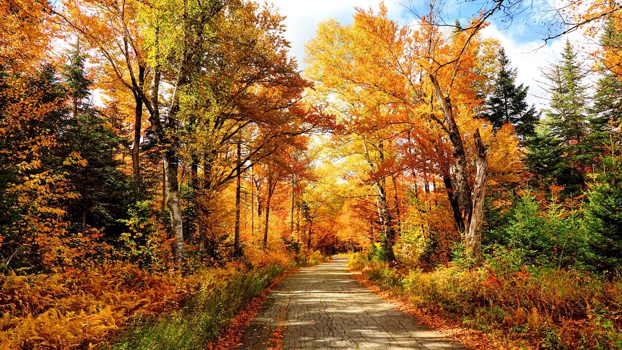 New England & Canada Fall Foliage