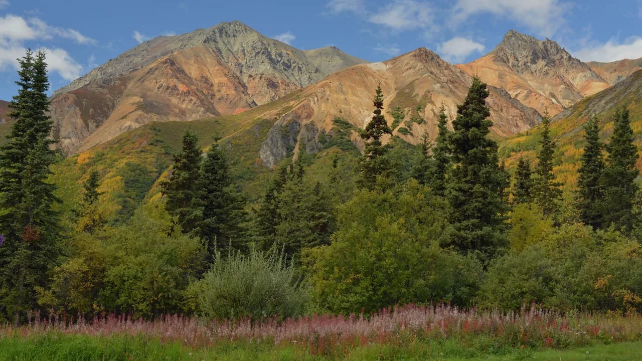 Talkeetna Treasures Cruisetour (Post Tour)