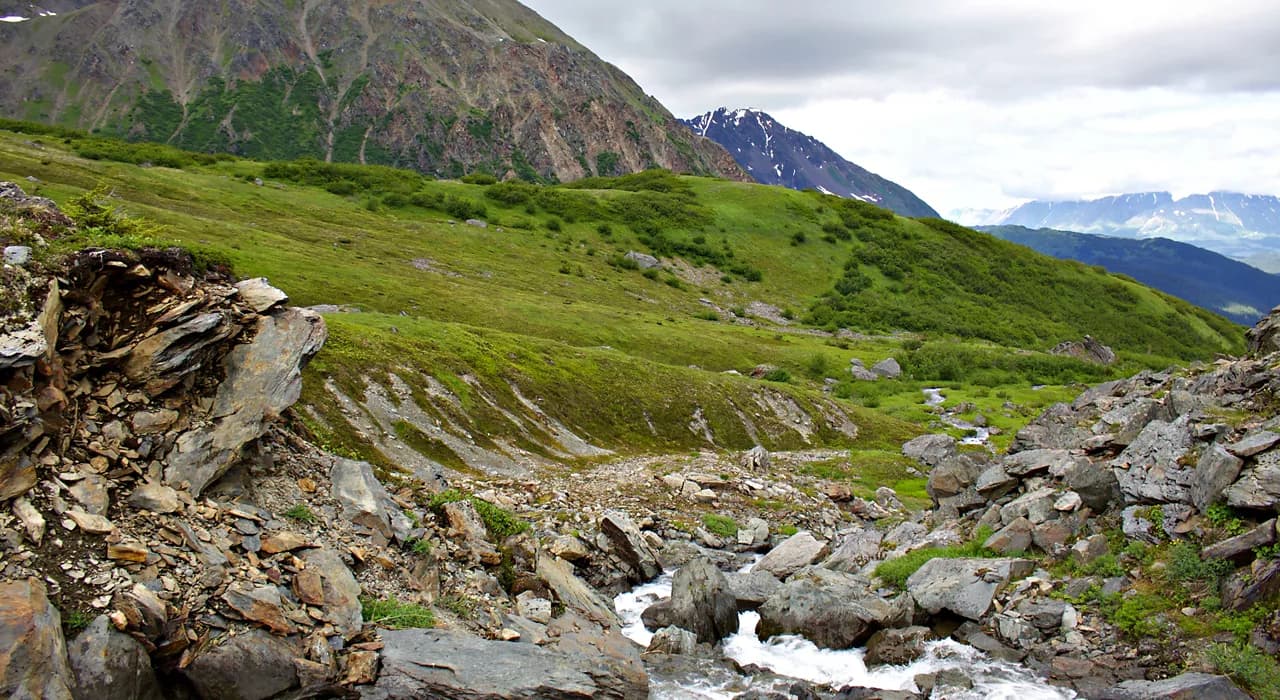 Alaska Mountain Medley Cruisetour (Post Tour)
