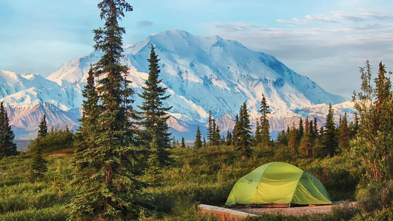 Denali Express Cruisetour (Post Tour)