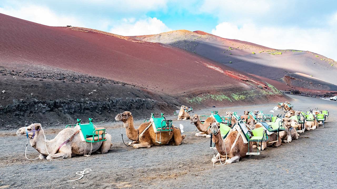 Spain, Canary Islands & Morocco