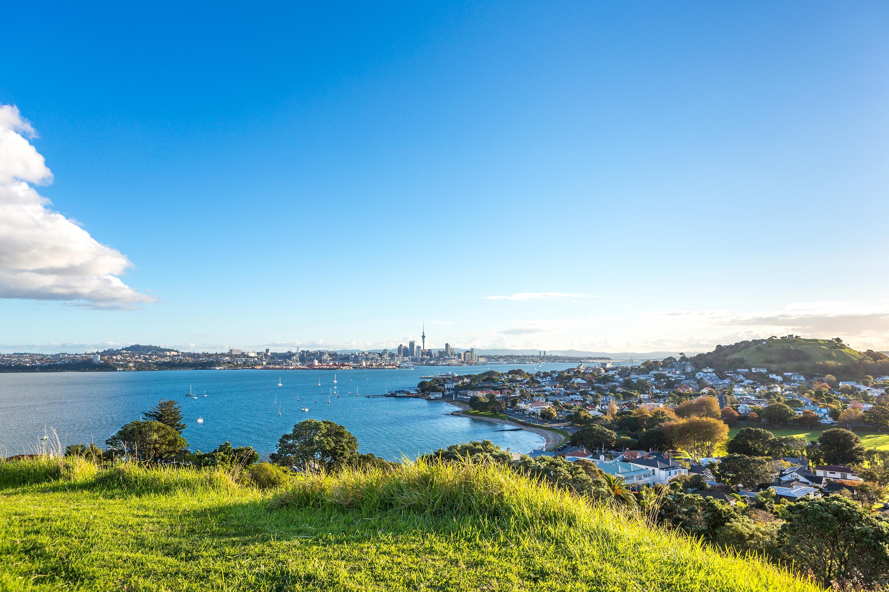 New Zealand Holiday Cruise